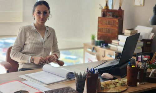 İzmir Avukat İdil Su Ekmekçi